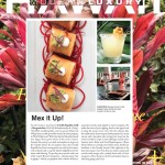 VILLAGE VOICE MEDIA ADAM LAMBERT